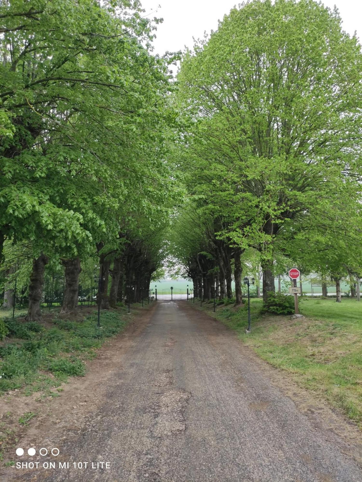 Domaine De La Ferme De Mont Bed & Breakfast Mormant Екстериор снимка